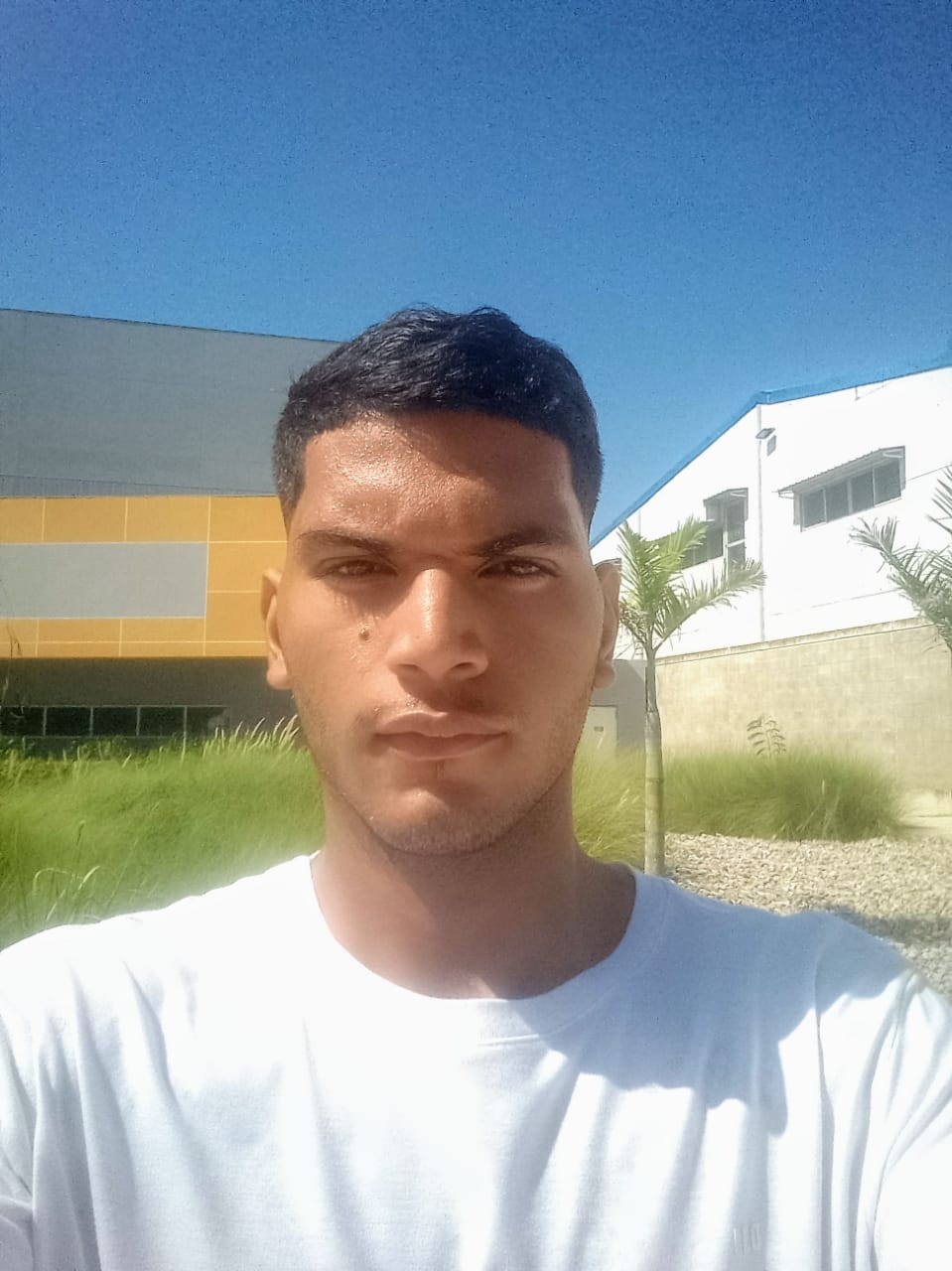 Developer Avatar